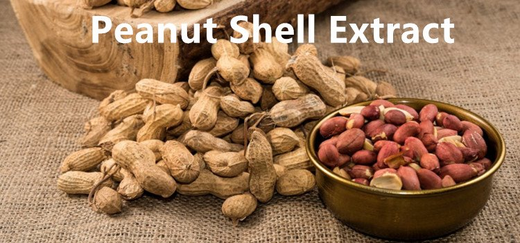 Peanut Shell.png